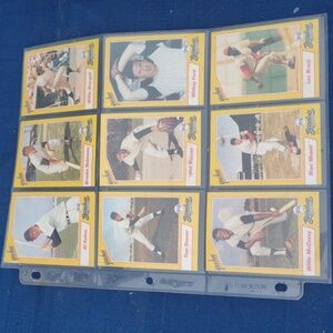 Baseball Card Lot